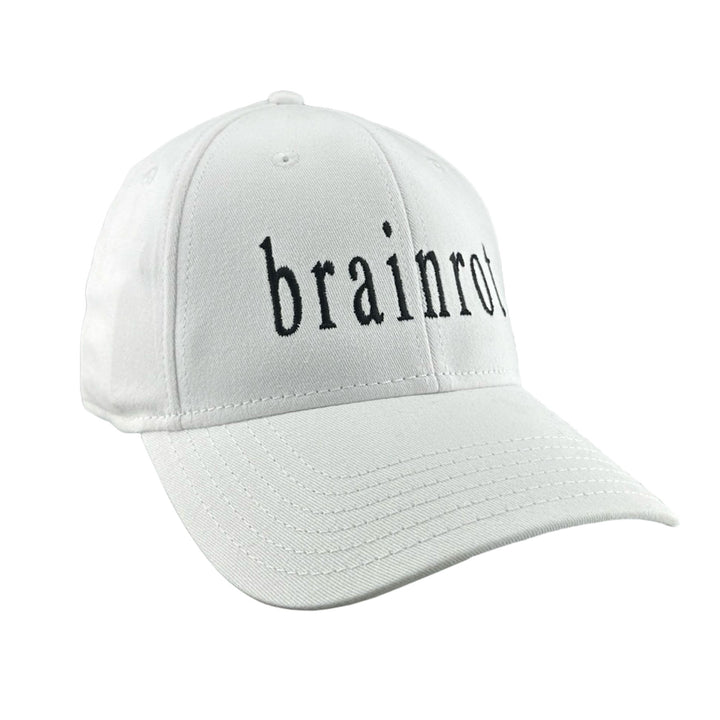 "Brainrot" Flexfit - White Hat Personal Fears Personal Fears "Brainrot" Flexfit - White  - 90s Hat - Y2K Hat